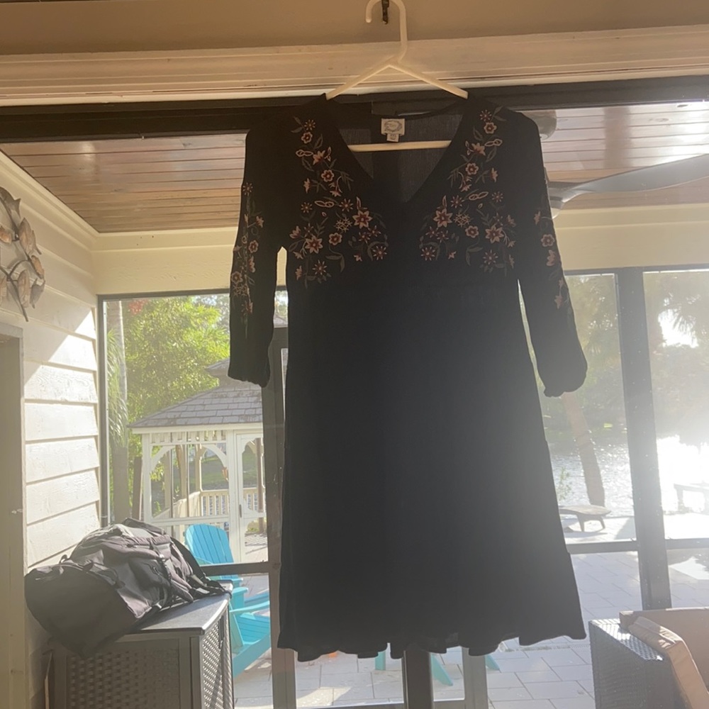 blue rain (FRANCESCAS) dress size xxs